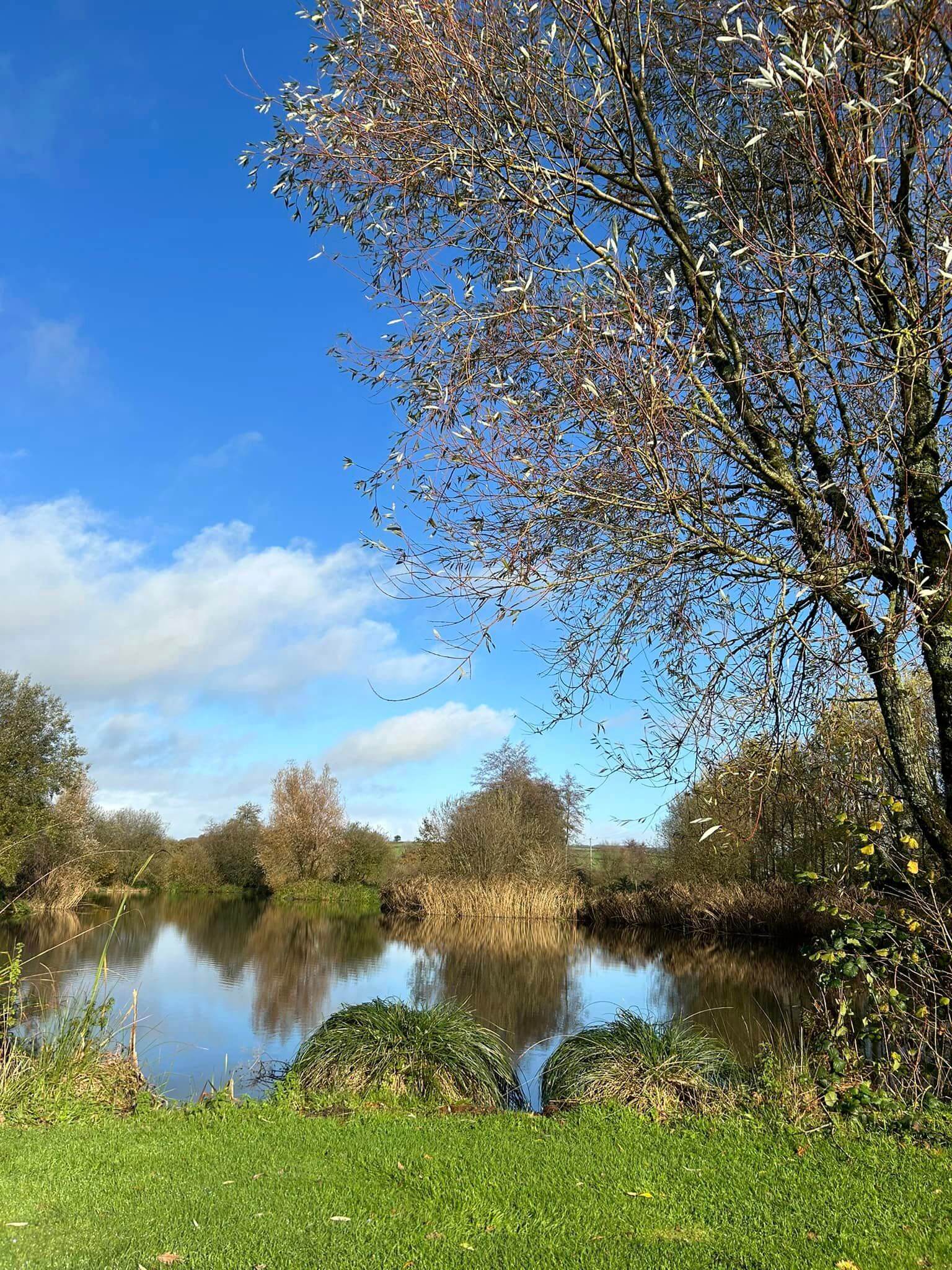 Milemead Fisheries